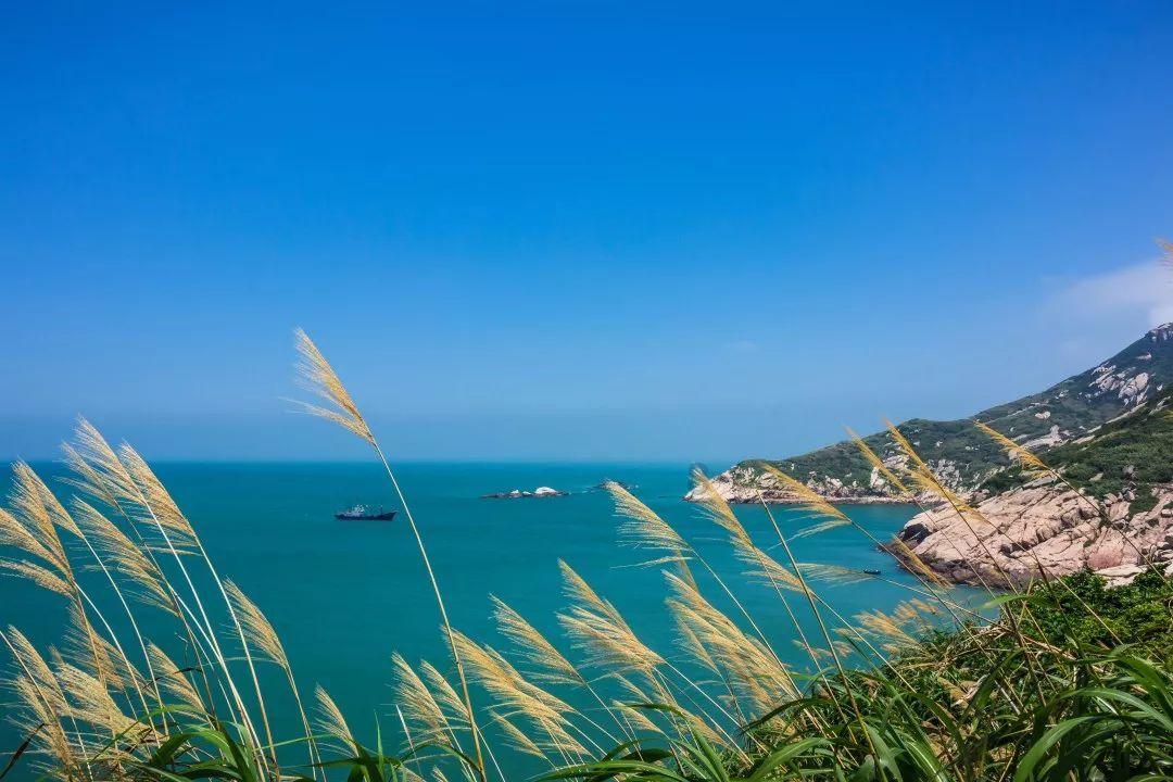 苏州工业园区阳浦路社区:浓浓腊八粥,慰问暖人心